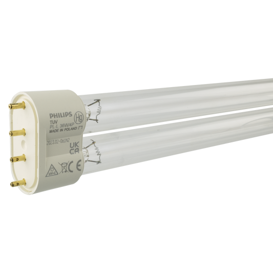 Lamp Philips TUV PL-L 36W /4P Base B