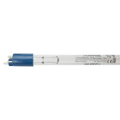 Lamp Blue Lagoon T5 75W Ionizer Base K